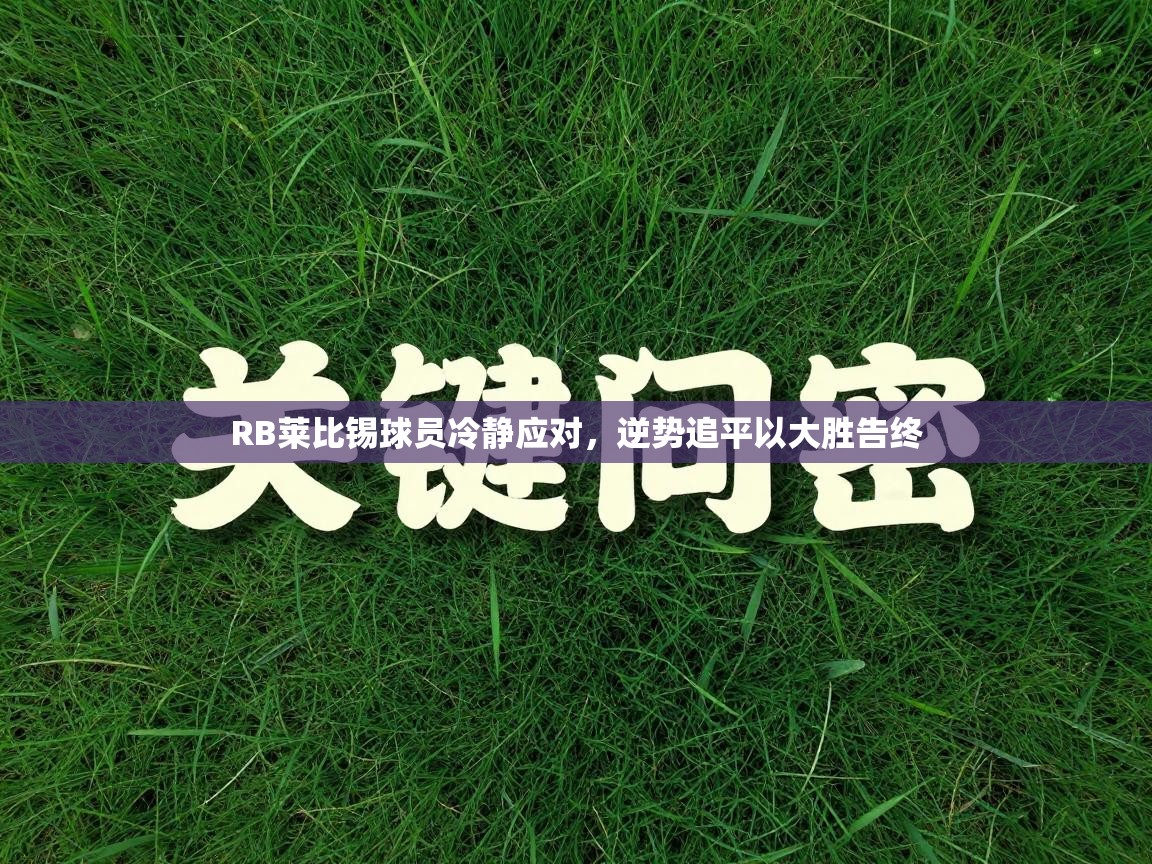 RB莱比锡球员冷静应对，逆势追平以大胜告终  第2张